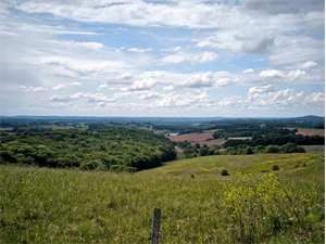 terrain à la vente -   32290  AIGNAN, surface 2000 m2 vente terrain - UBI470954675